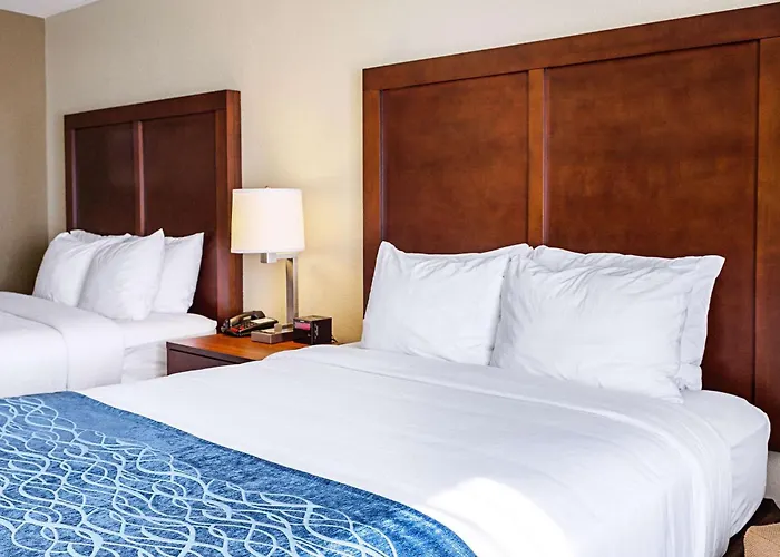 Comfort Inn & Suites Niagara Falls Blvd Usa