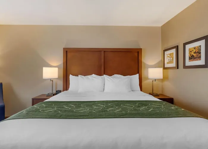 Comfort Inn & Suites Schenectady - Scotia