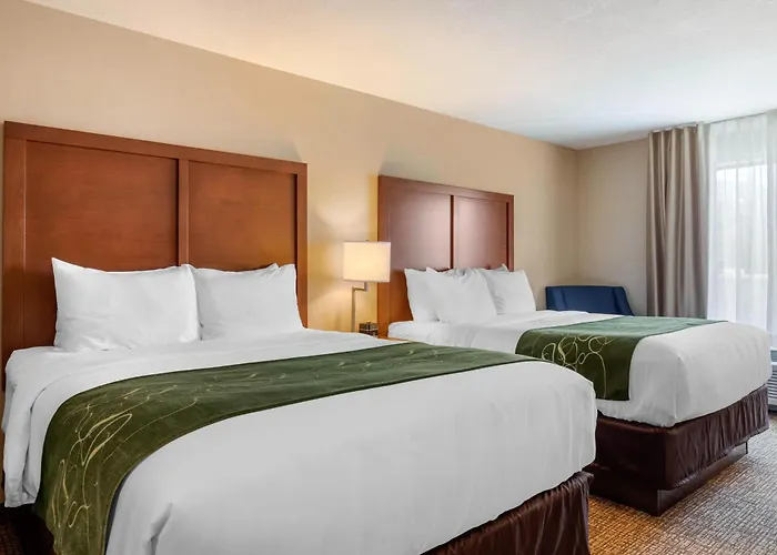 Comfort Inn & Suites Schenectady - Scotia