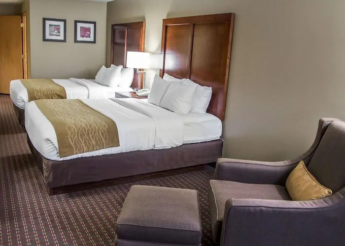 Comfort Inn & Suites Riverview Near Davenport And I-80