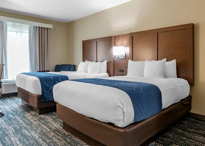 Comfort Inn & Suites Downtown Near University