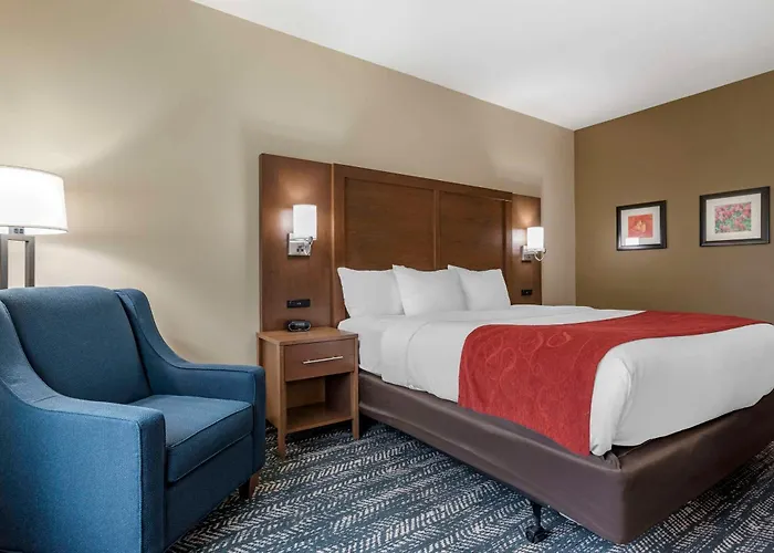 Comfort Inn & Suites Downtown Near University