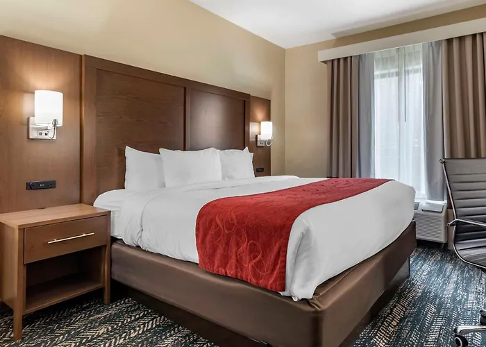 Comfort Inn & Suites Downtown Near University