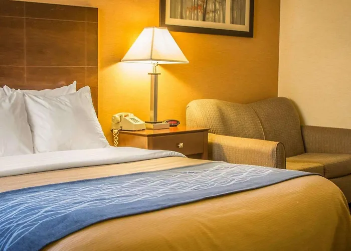 Quality Inn & Suites Port Huron