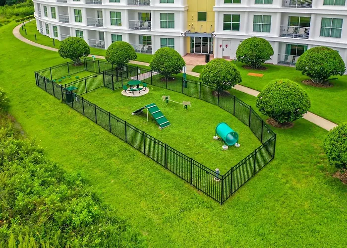 Pet Friendly In Orlando Area Near Disney