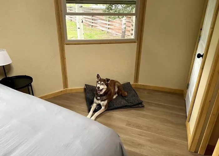 Bristlecone Yurt At Aspen Ridge Cabins