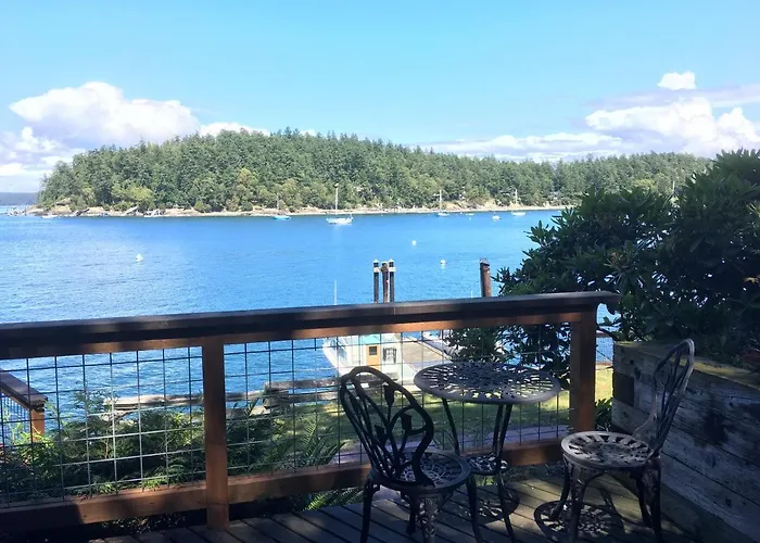 Friday Harbor Lights