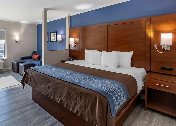 Comfort Suites St Louis - Sunset Hills