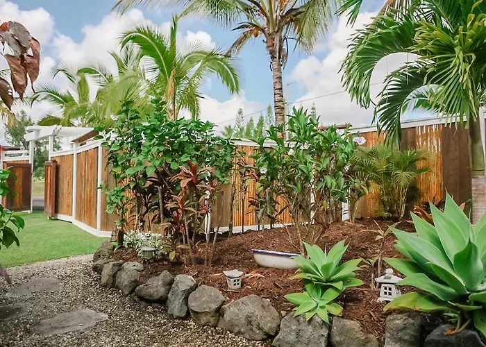 Pahoa Paradise Palms