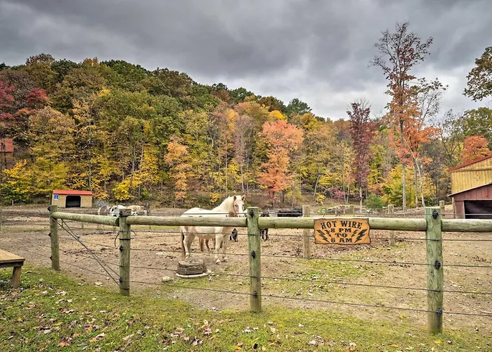1 Mi To Raystown Lake: 'Clint Eastwood' Cabin