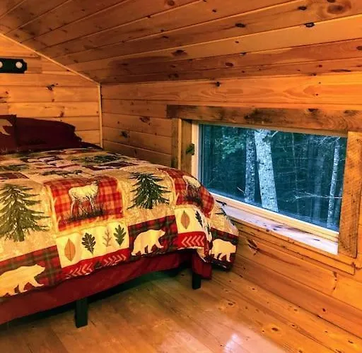 Vana Kuti-Cabin In The Woods