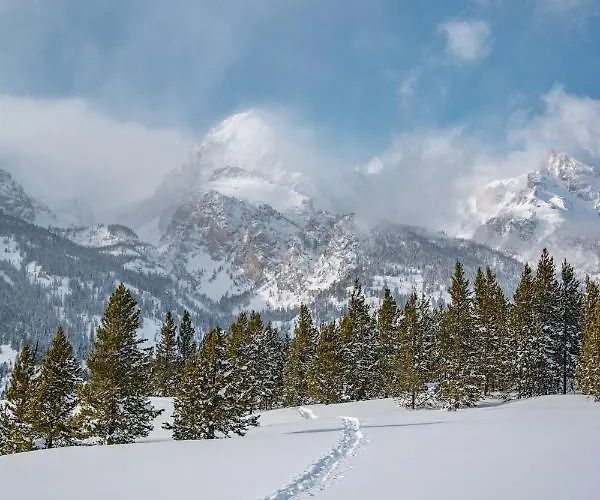 Teton Cabins