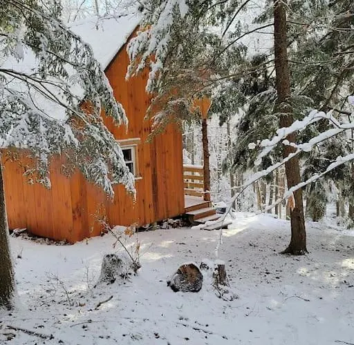 Vana Kuti-Cabin In The Woods