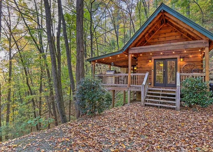 Fireplace & Foliage: Quaint Blue Ridge Cabin!
