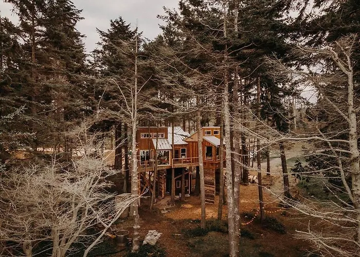 Treehouse-Small Eagles Perch Over The Water