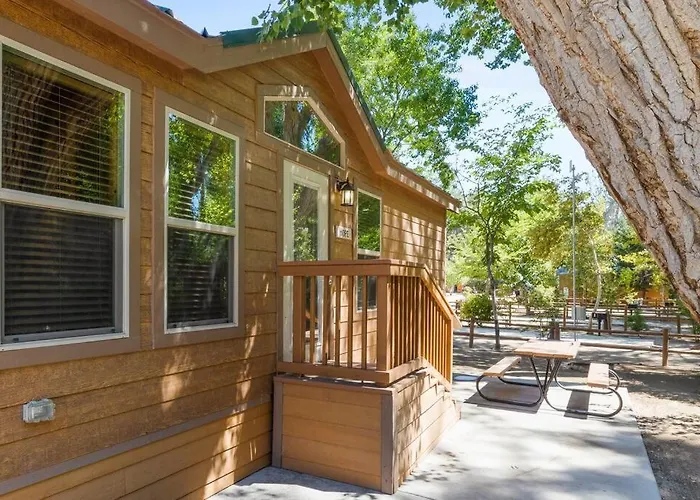 Adorable Little Cabin #26