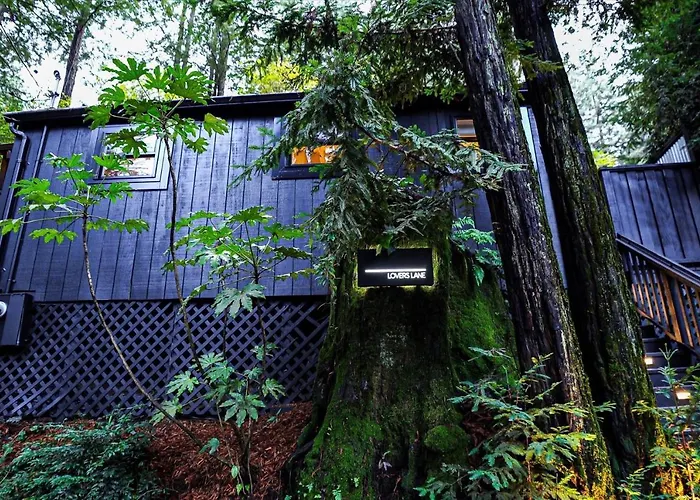 The Black Nest - Hot Tub Romantic Getaway