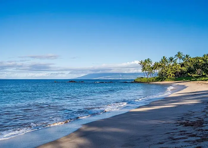 Aloha Moon - A Chic And Dreamy Modern Tropical Hideaway!