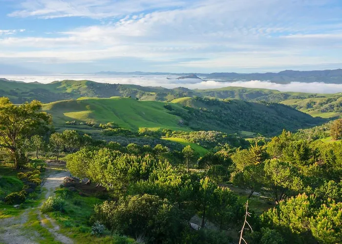 Mountain Top Getaway, Best View In Slo! - Whole House