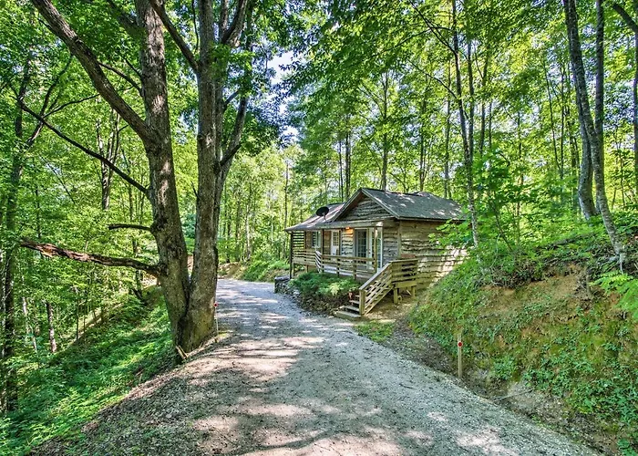 Forest Views! 'The Woodshop' Robbinsville Cabin