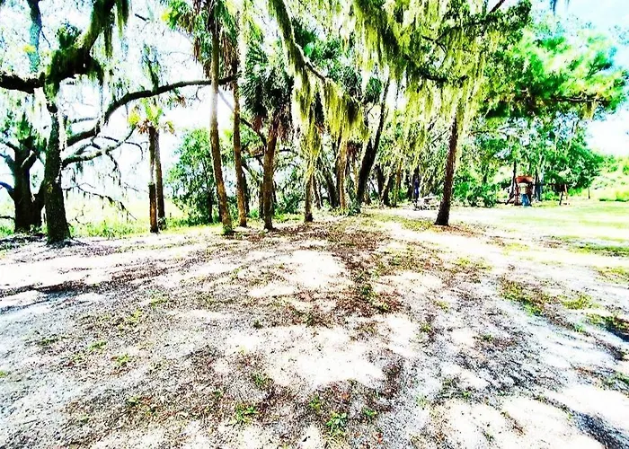 The Offbeat Oasis By The Marsh With Hunting Island Beach Pass