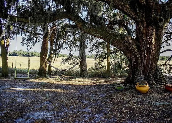 The Offbeat Oasis By The Marsh With Hunting Island Beach Pass