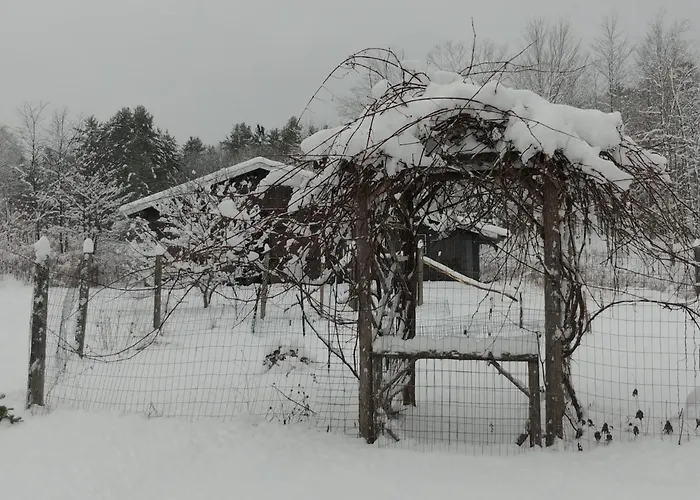 Spacious Country Retreat Close To Town And Nature, Sylvana Farm Vt