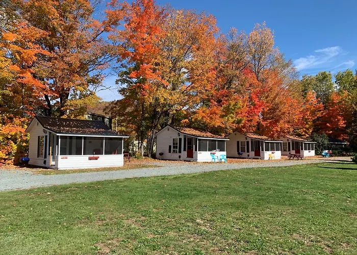 Carrollmotel And Cottages