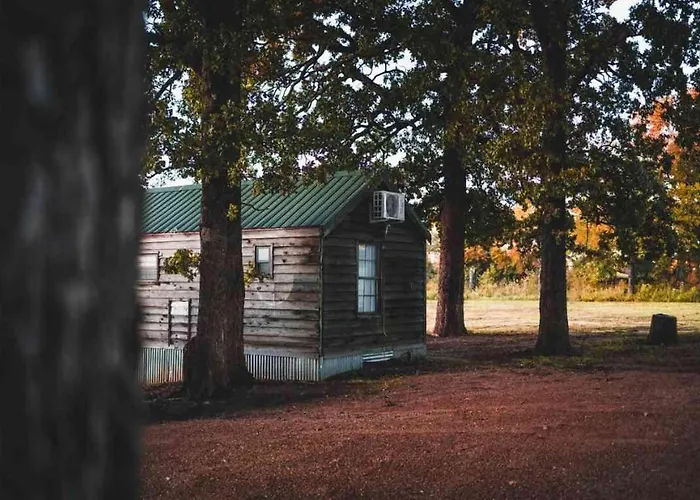 Lakefront Cedar Cabin - 9