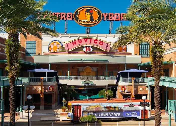 Tropical Casita In Tampa Near Airport And Raymond James Stadium