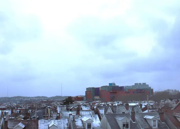 Steps Away From Hospital - 2 Queen Bed - City View
