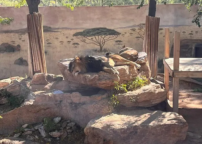Saguaro At Cactus Flower-Hot Tub-Pet Friendly-No Pet Fees!