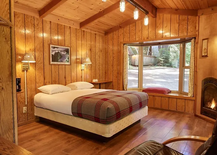 Big Sur Campground And Cabins