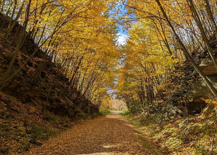 Stay In Ohiopyle In The Middle Of Town By The Gap Trail
