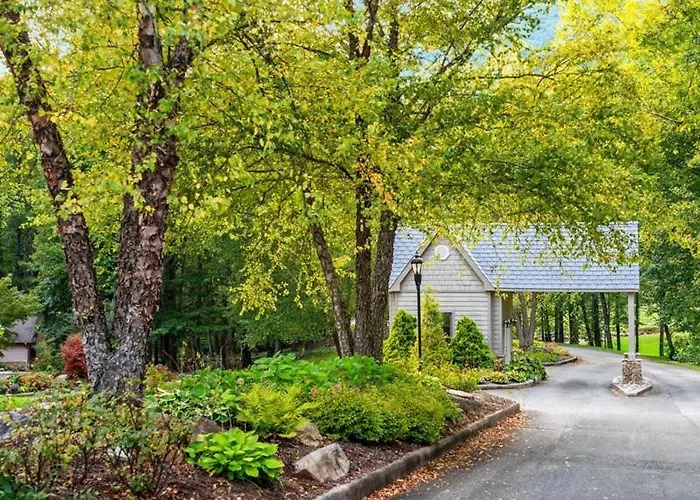 Blue Ridge View Pet Friendly, Deck, Grill