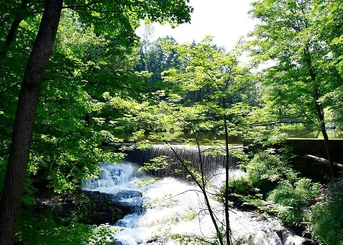 Luxury Cottage At Millpond Falls