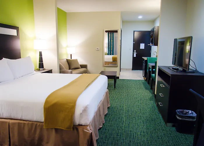 Holiday Inn Express Hotel & Suites Temple-Medical Center Area By Ihg