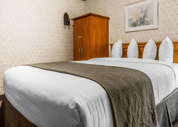 Quality Inn & Suites Silicon Valley