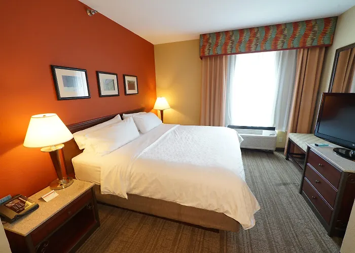 Holiday Inn Express & Suites Tampa Northwest-Oldsmar By Ihg
