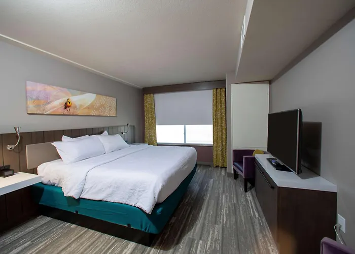 Hilton Garden Inn Rapid City