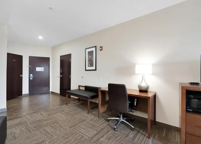 Comfort Suites University