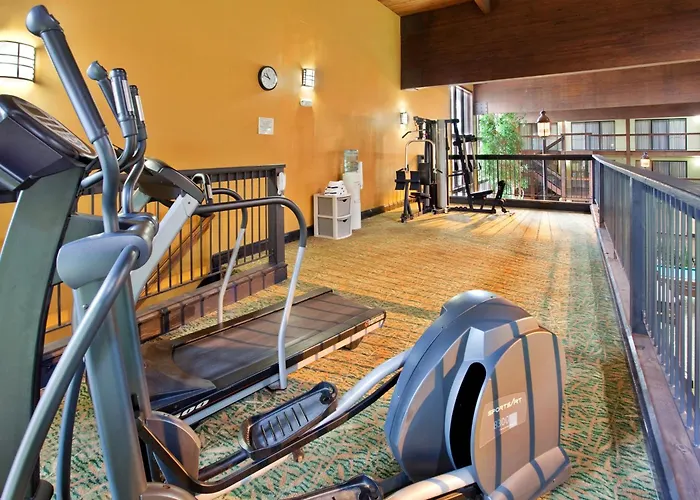 Holiday Inn At Six Flags Saint Louis By Ihg