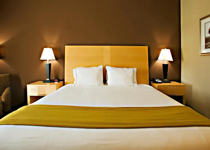 Holiday Inn Express Hotel And Suites Borger By Ihg