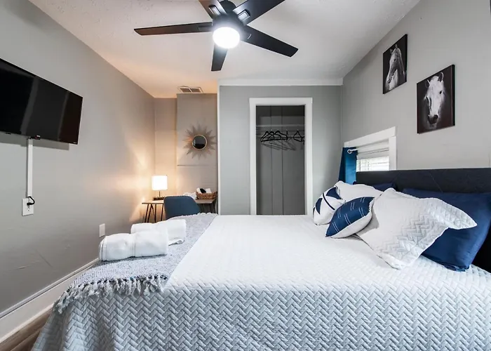 Suite Near Downtown Louisville, Ky - Suite IX