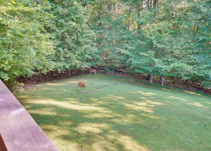 Rustic Retreat In Cadiz: On Lake Barkley