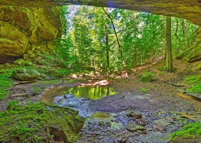 Mammoth Cave Cabin Rentals 8