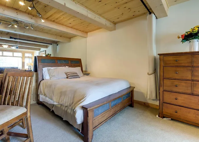 Ski-In/Ski-Out Studio In Aspen Snowmass Ski Resort