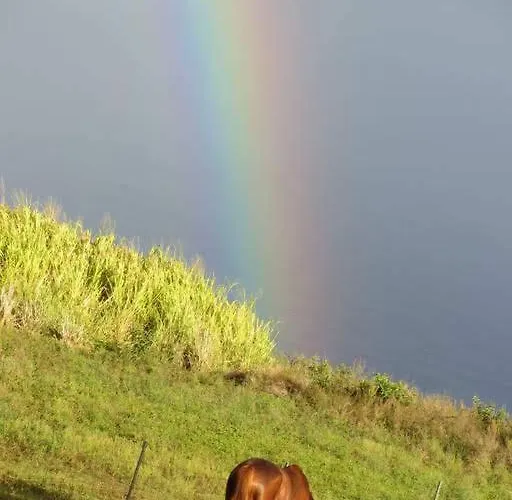 Waipio Studio Apartment
