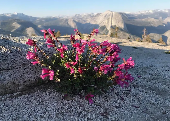 Morning Star Vista Near Yosemite - Countryside With Mountain Views