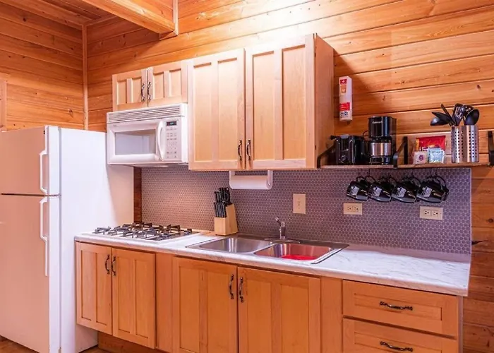 Cabin #5 Black Bear - Pet Friendly - Sleeps 6 - Playground & Game Room